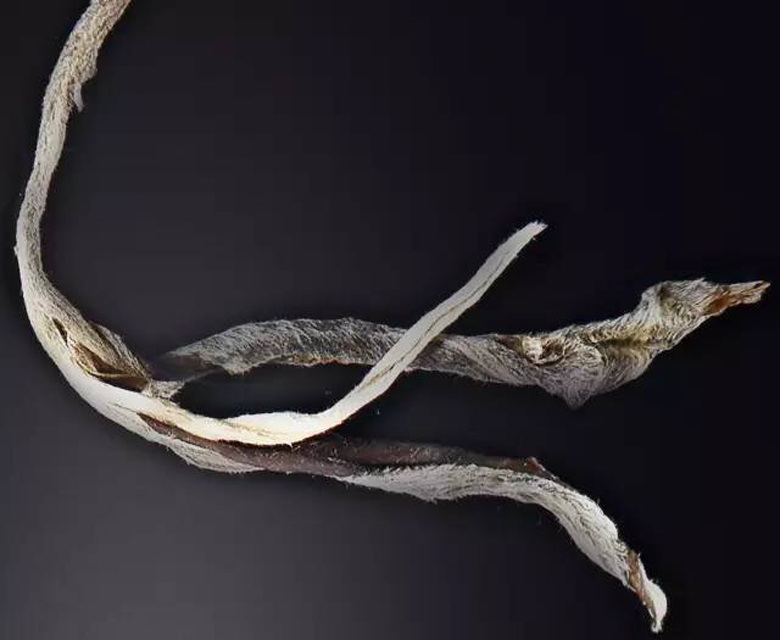 老班章茶叶价格