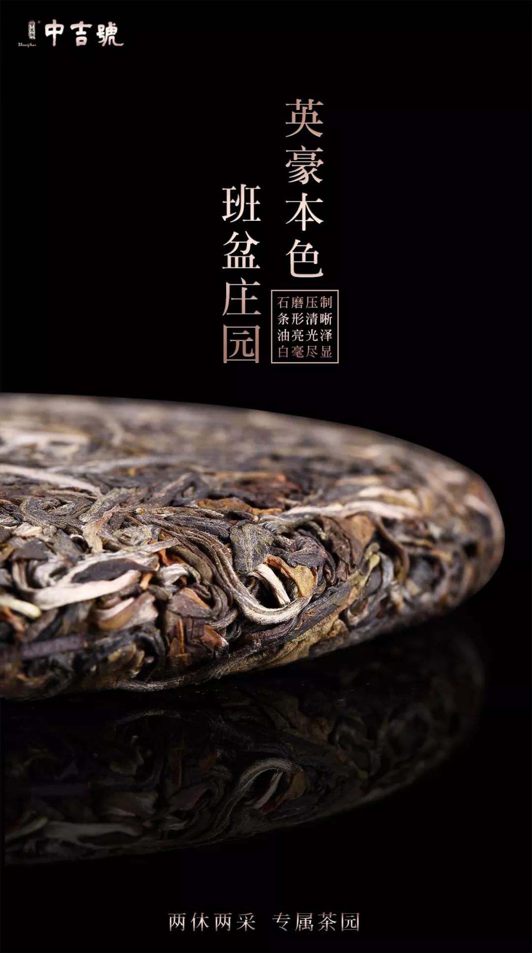 云南普洱茶批发价格