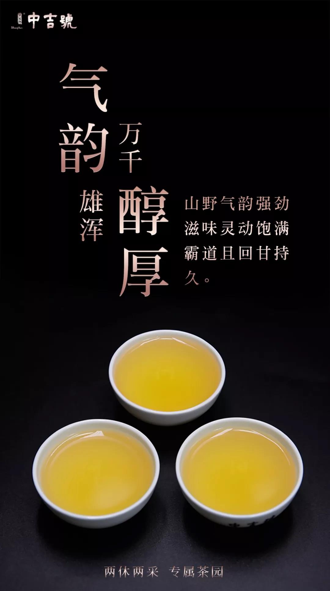 云南普洱茶批发价格