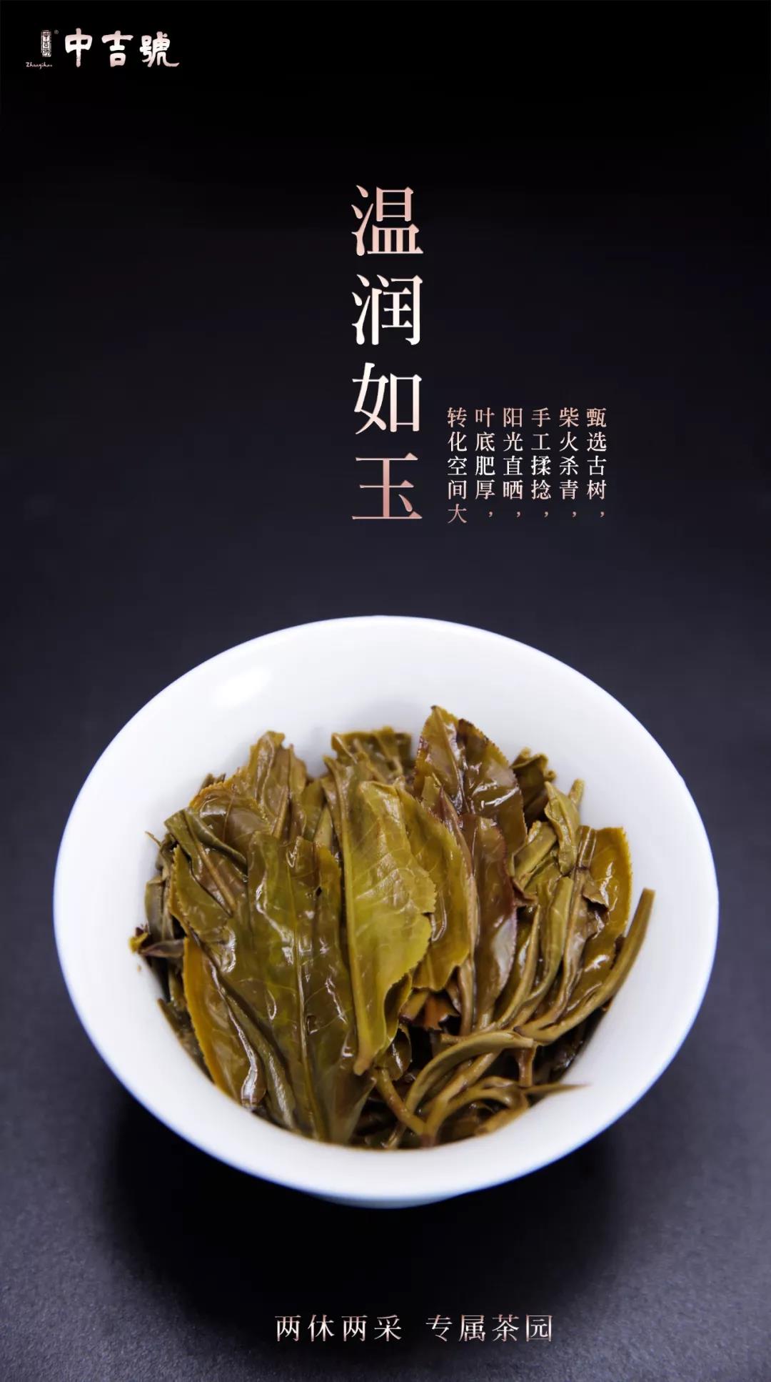 云南普洱茶批发价格