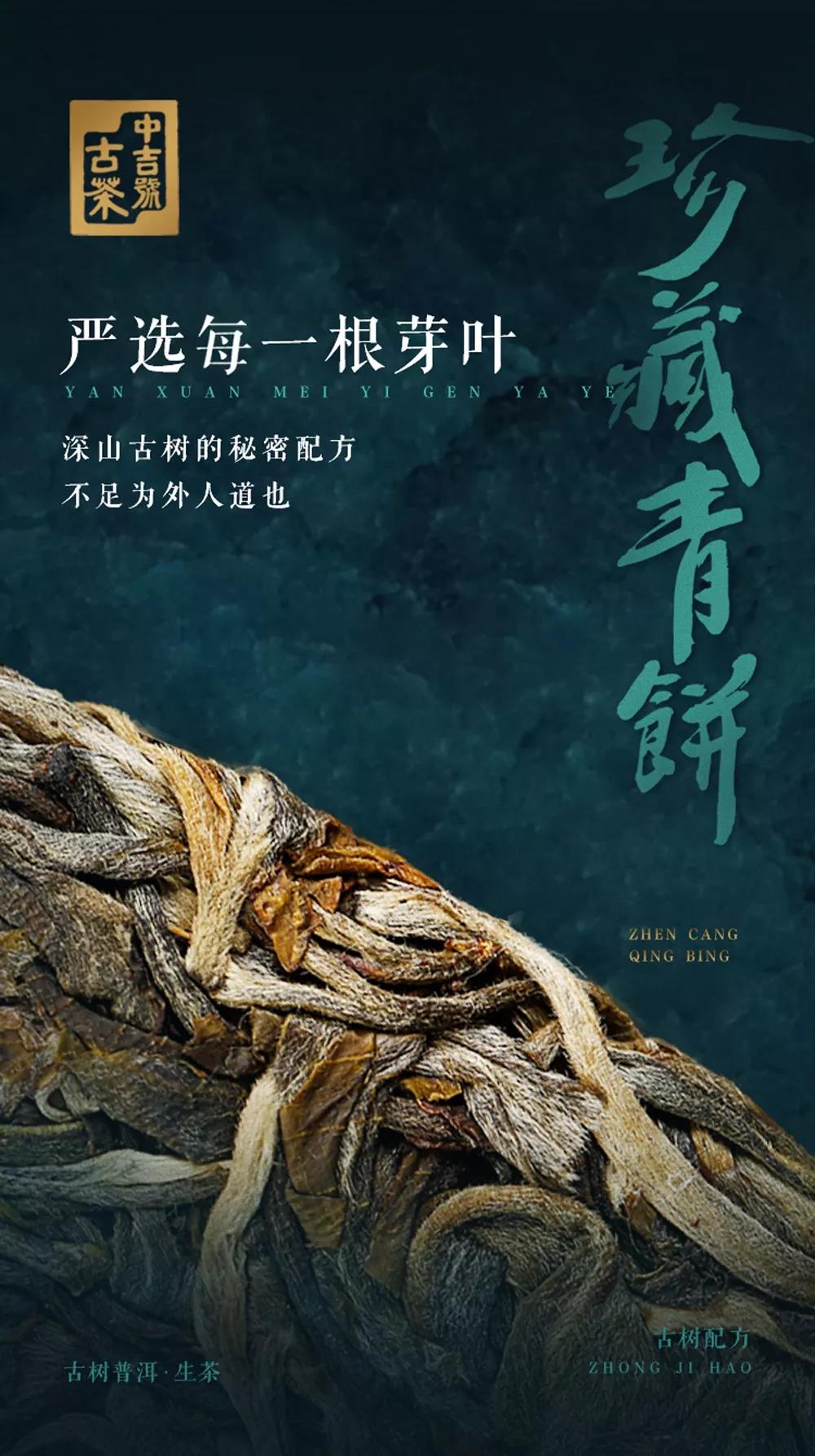 普洱茶春茶几月上市