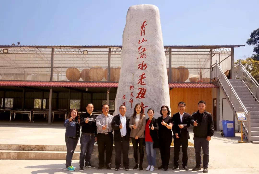 中吉号老班章展厅