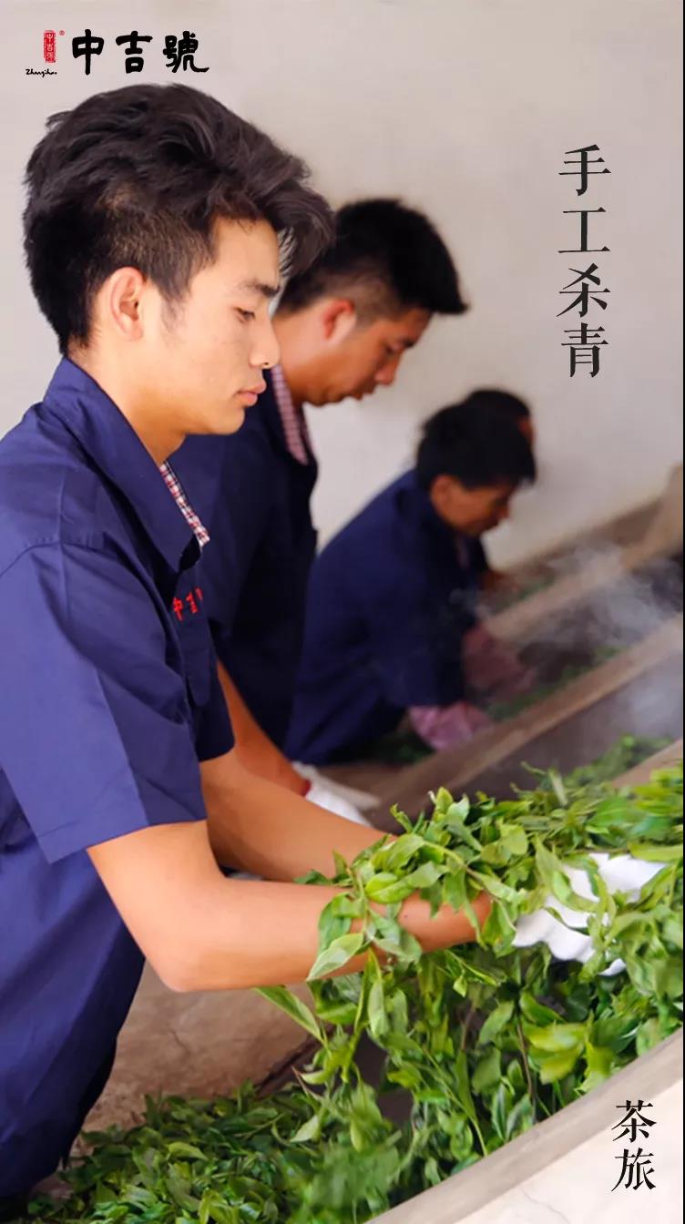 中吉号老班章茶山行