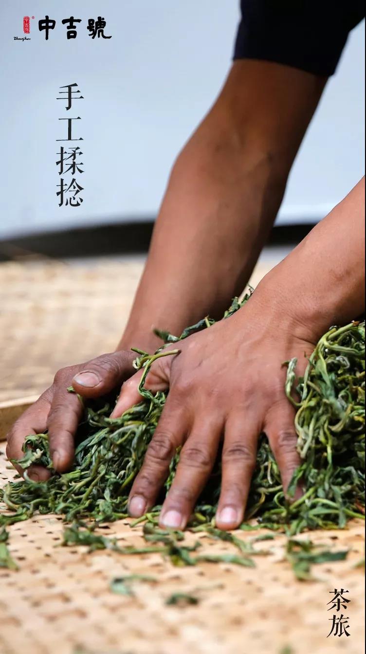 中吉号老班章茶山行
