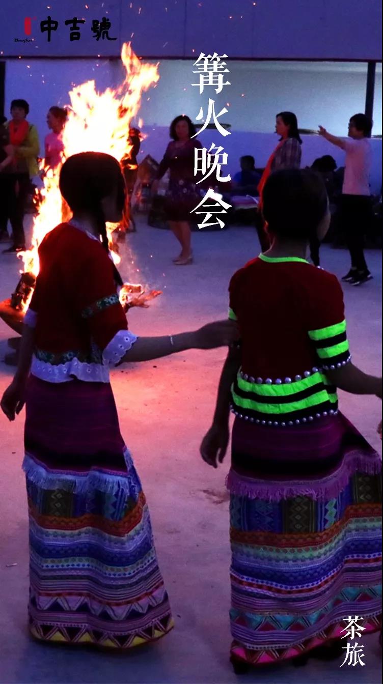 中吉号老班章茶山行